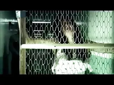 Приватне секс домашнє відео (Кейлі Хілтон)