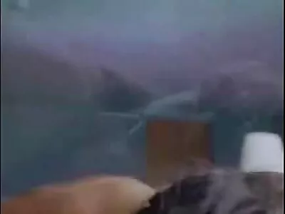 Pulse: Частина друга відео домашне відео порно (Денні Д., Лінна Нільссон)