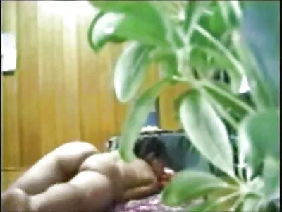 Відео домашнє руське порно Bitch In A Box (Жасмін Блек, Аманда Блек)