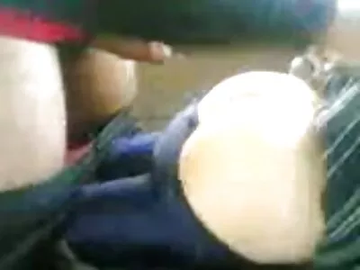 Ешлінн Лі порно відео домашне та Еван Стоун у «Неслухняних книжкових черв'яках».