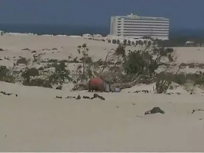 Даймонд Джексон, порно домашнє Кріс Слейтер у фільмі Tonights Girlfriend