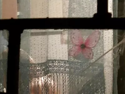 СіСі Капелла, Бред Найт у фільмі «Горячий красиве домашне порно друг моєї сестри».